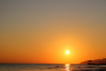 Sunset sea plant sand sunrise