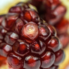 closeup pomegranate seeds 