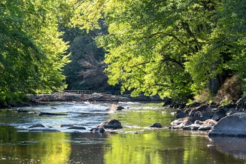 Foto op Plexiglas Natuur Wilde Zweedse rivier in september
