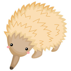 a vector of a cute and adorable echidna