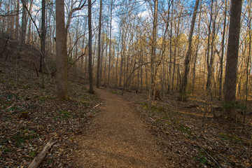 Trails in Spring