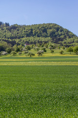 Hohenzollern Castle, Germany	