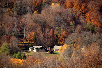 Landscape with rurual house in mountain forest in autumn