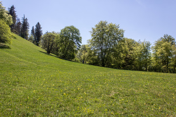 Hohenzollern Castle, Germany	