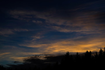 Obraz premium Sunset in the Forest