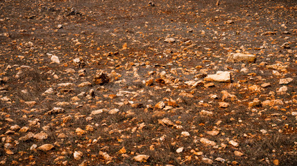 field of red stones and dry grass for backgrounds