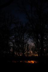 Fototapeta premium Sunset in Forest