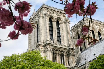 notre dame