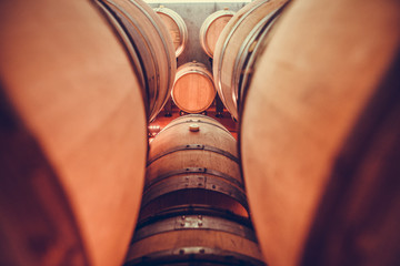 Wine barrels in cellar