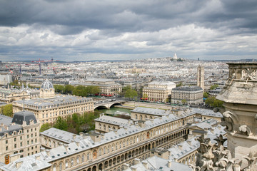 Fototapeta premium view of paris from eiffel tower
