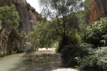 The Vero river canyon during a summer day, dug by water, with some trees and the typical red iron rock, in Alquezar, Spain
