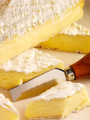 FRENCH BRIE CHEESE