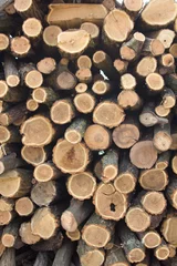 Möbelaufkleber pile of wood © Dusko