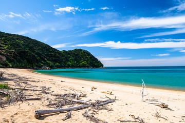 A beautiful beach along the coastline in Abel Tasman National Park, South Island, New Zealand.