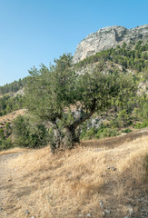 Fototapeta na wymiar Mountains of Sierra de Cazorla in Andalusia