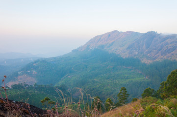 Obraz premium Sunrise above Munnar mountains