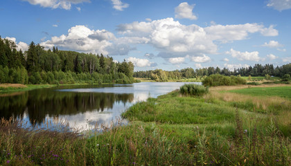 Fototapeta premium Summer day on the bank of the lake.