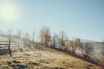 wooden pasture fence in Vorokhta on sunny day, Carpathians, Ukraine