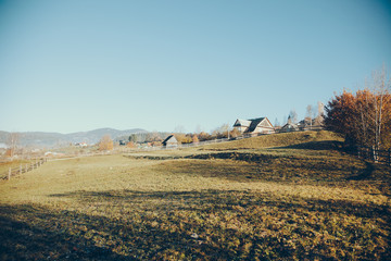 Obraz premium pasture with buildings in mountain Vorokhta town, Carpathians, Ukraine