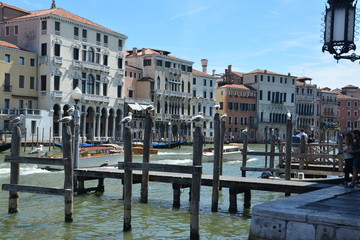 Seagulls on the Grand Canal in Venice