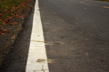 Obraz premium road to nowhere