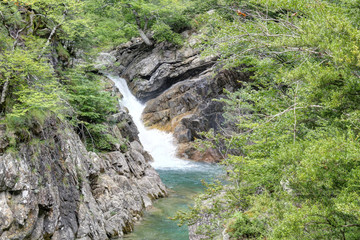 The waterfalls and the rapids in the Rio Bellos canyon on the forest covered rocky mountains in the Cañon de Añisclo valley, in Aragon region, Spain