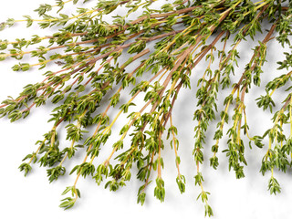 THYME