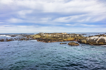 View of Duiker Island or Duikereiland (Afrikaans), also known as Seal Island in Hout Bay near Cape Town. Wild seals colony on Seal Island. South Africa. 