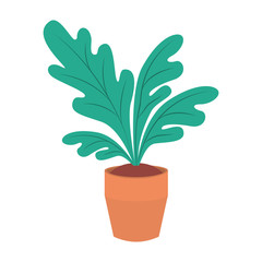 house plant pot isolated icon