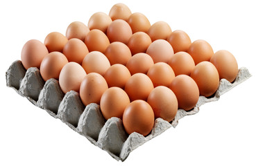 TRAY OF EGGS CUT OUT