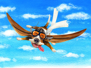 Joyful basset-pilot flying in the sky. Hand drawn watercolor - 232099410