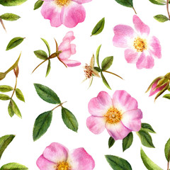 Seamless floral wildroses pattern. Hand drawn watercolor