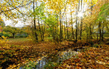Wanderung am See: Indian Summer, Schönheit des Herbstes am Abend, Spätsommer, Indian Summer,...