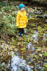 Regentage im Herbst
