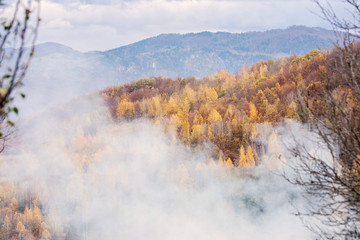 Obraz na płótnie Canvas Magic nature of Autumn colors 
