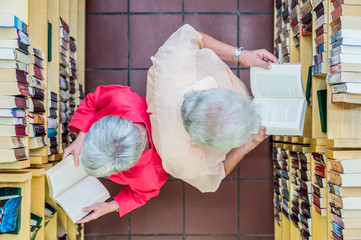 Two users reading books back to back in a city library, top view