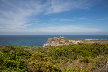 View of the ocean and a rockface with greenery in the foreground