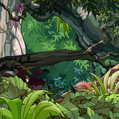Naklejka premium kreskówka las tropikalny z drzewami i roślinami