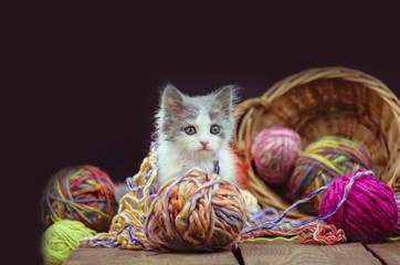 Kitten with knitting ravels in a basket