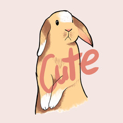 Vector illustration. Cute, cartoon rabbit
