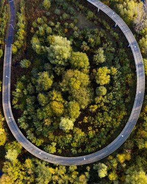 Bike road in a circle between the trees in the netherlands.