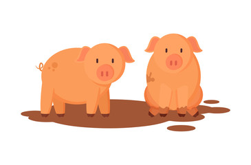 Pigs Farm Animals Closeup Vector Illustration
