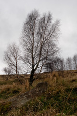 Arthur's Seat of Edinburgh