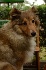 Winnie