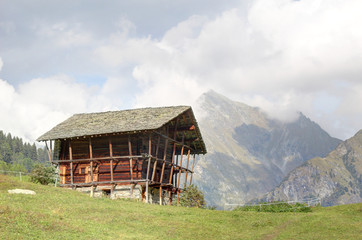 A wooden lodge in the Walser town of Dorf, among high mountains, pine forests and pastures, in summer, in Val d'Otro valley, Alps mountains, Italy