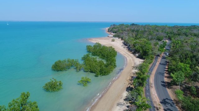 Mangroves at Darwin Beach