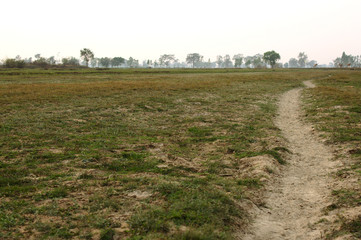 Obraz premium tractor plowing field