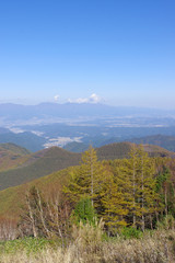 美ヶ原高原の紅葉