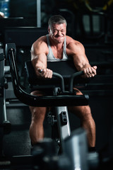Fototapeta na wymiar athletic man trains in the gym. Training of biceps on the bench