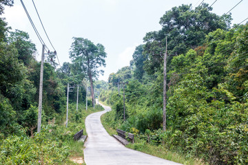 Fototapeta na wymiar rural country road pass through green trees beside in thailnd